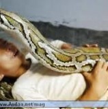 تشجع بي ايها الامير