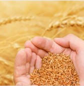 دعونا نظهر رأفه المسيح لمن هم حولنا