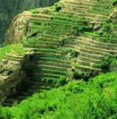 الراحة للحصول على أفضل ما لديه