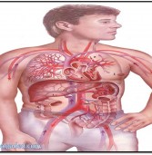 أميري … اعرف قيمة جسدك