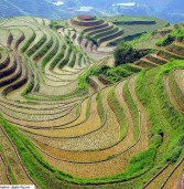 اليمن فى سطور