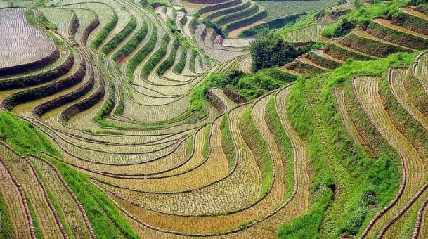 اليمن فى سطور