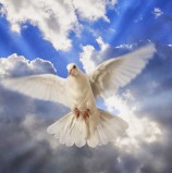 قضايا ساخنة (حفظ الوعد)