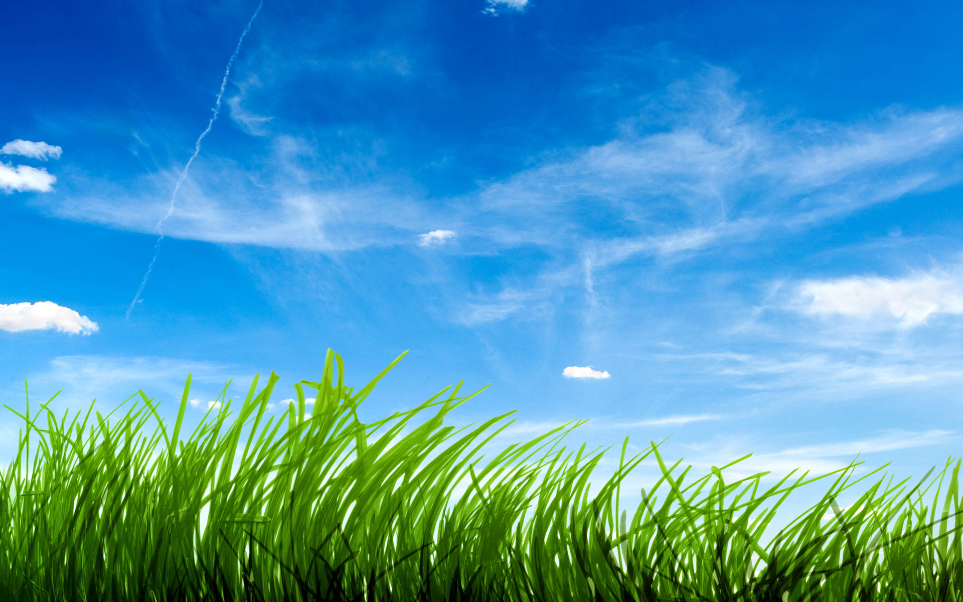 blue_sky_green_grass_1.psd