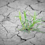 قضايا ساخنة (الأمل)