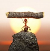 قضايا ساخنة (المثابرة والاجتهاد)